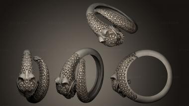 Jewelry rings Cat 3d model